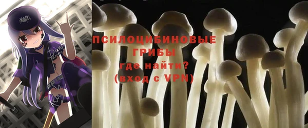прущая мука Армянск