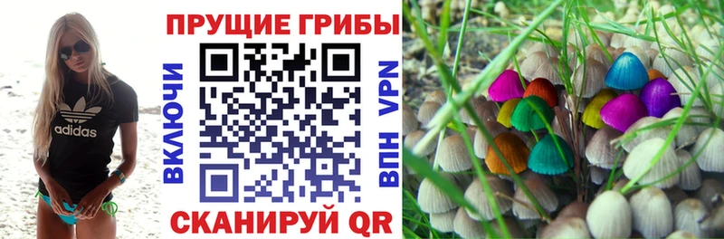 Галлюциногенные грибы мицелий Калуга
