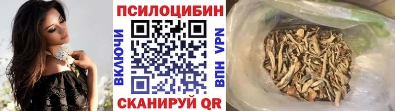 сколько стоит  блэк спрут ССЫЛКА  Галлюциногенные грибы Psilocybine cubensis  Калуга 