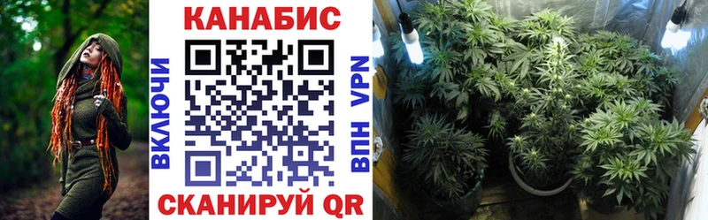 OMG сайт  Калуга  Каннабис OG Kush 
